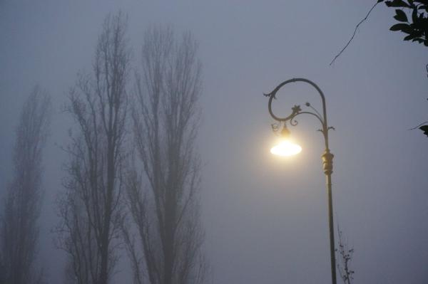 Foggy illuminated street lamp in Ferrara