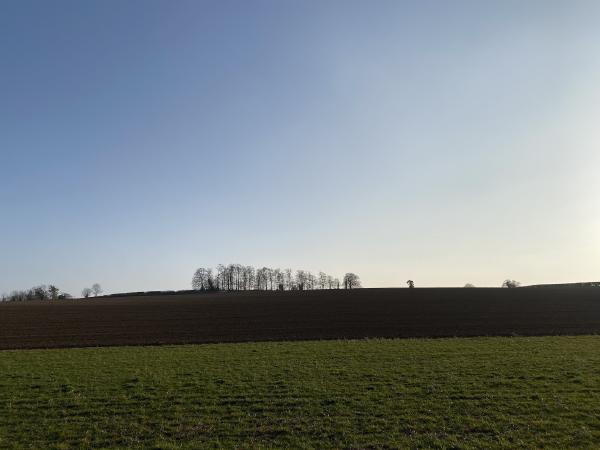 A ploughed field in Cambridgeshire.