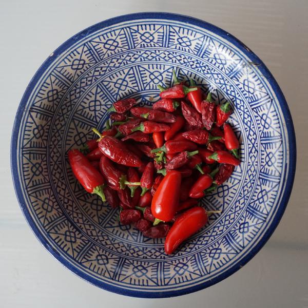 Red chillies in a blue decorated bowl.
